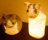 ���։����g�уz���_�[