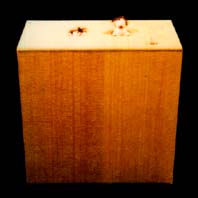 ���̓�̌������������p���N�o��