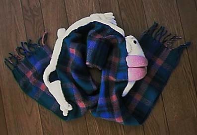 �z�����N���X�̂ʂ�����݂��݊���